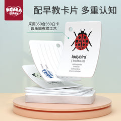 子ども向けアウトドアアドベンチャー昆虫観察